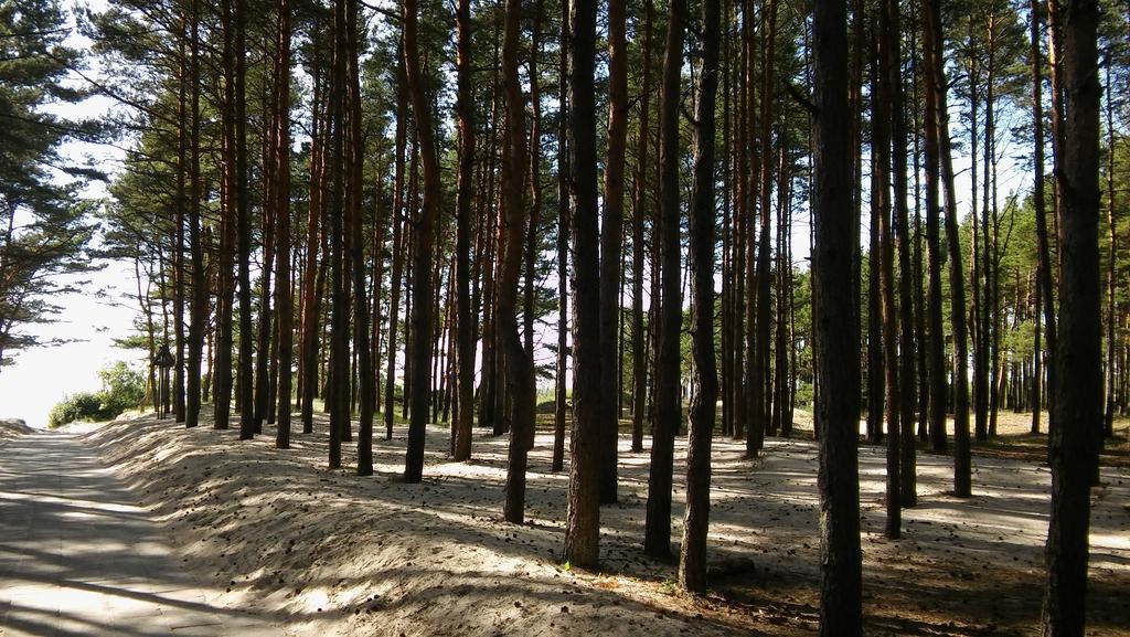 Appartement Jauki Vieta Poilsiui Kunigiskese à Palanga Extérieur photo
